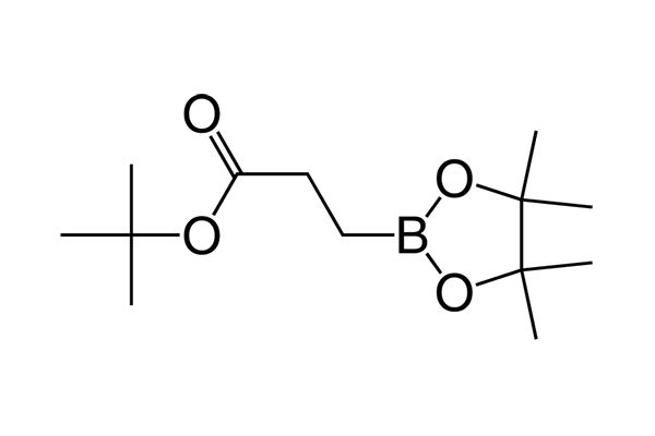 tert-Butyl 3-(4,4,5,5-tetramethyl-[1,3,2]dioxaborolan-2-yl)propionate图片