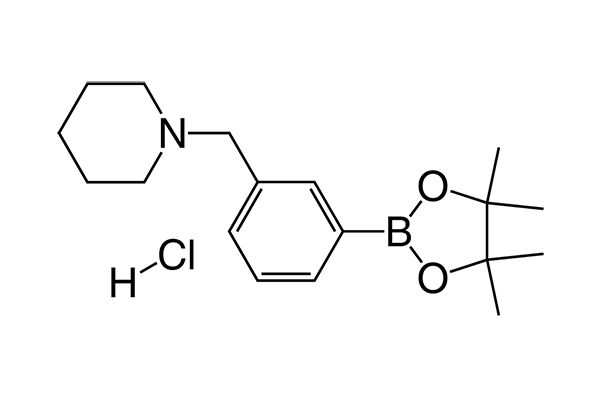 1-(3-(4,4,5,5-Tetramethyl-1,3,2-dioxaborolan-2-yl)benzyl)piperidine hydrochloride图片