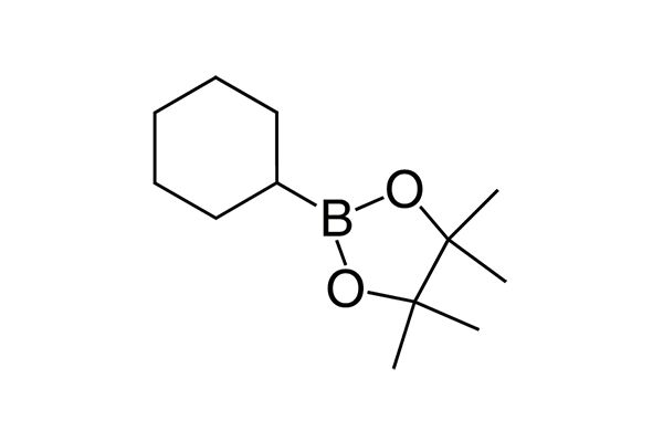 2-Cyclohexyl-4,4,5,5-tetramethyl-1,3,2-dioxaborolane图片