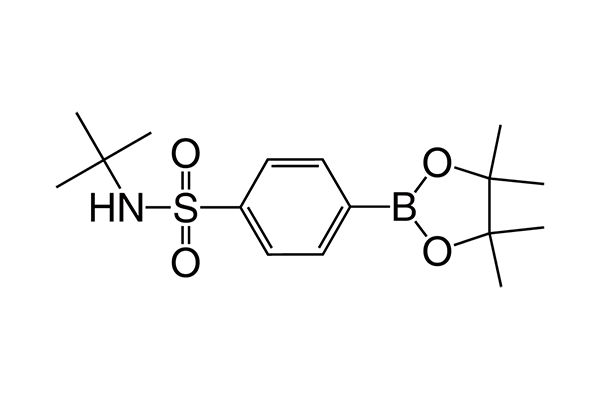 N-tert-Butyl-4-(4,4,5,5-tetramethyl-1,3,2-dioxaborolan-2-yl)benzenesulfonamide图片