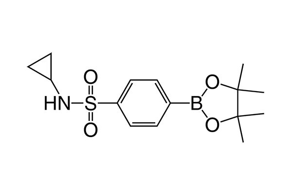 N-Cyclopropyl-4-(4,4,5,5-tetramethyl-1,3,2-dioxaborolan-2-yl)benzenesulfonamide图片
