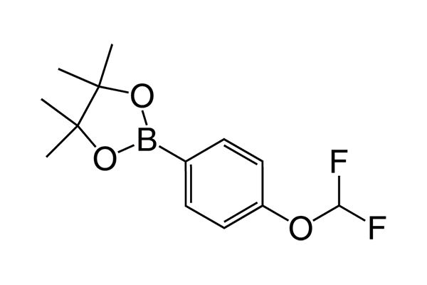 2-(4-(Difluoromethoxy)phenyl)-4,4,5,5-tetramethyl-1,3,2-dioxaborolane图片