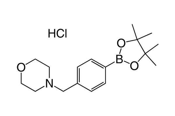 4-(4-(4,4,5,5-Tetramethyl-1,3,2-dioxaborolan-2-yl)benzyl)morpholine hydrochloride图片