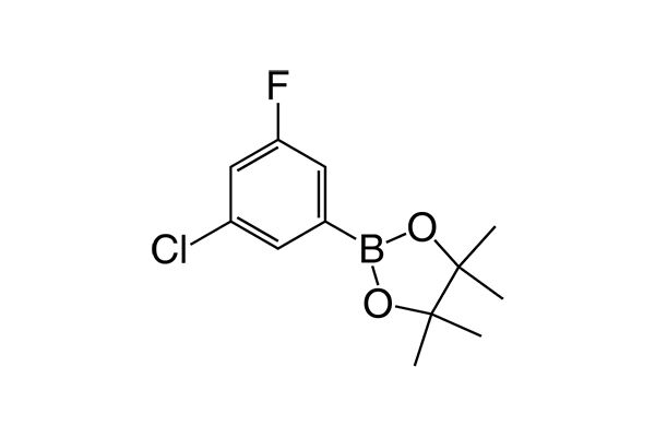 3-Chloro-5-fluoro-(4,4,5,5-tetramethyl-1,3,2-dioxaborolan-2-yl)benzene图片