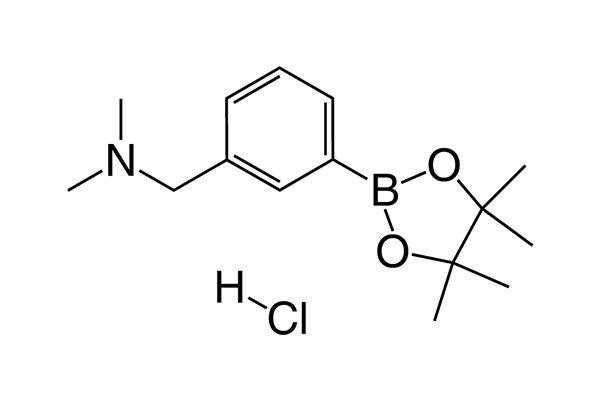 N,N-Dimethyl-1-(3-(4,4,5,5-tetramethyl-1,3,2-dioxaborolan-2-yl)phenyl)methanamine hydrochloride图片