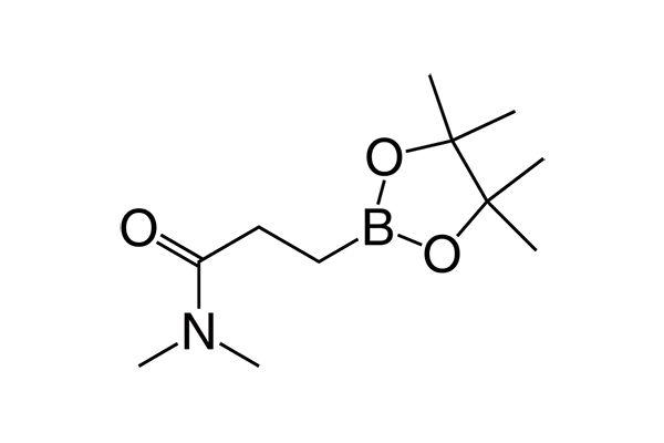 N,N-Dimethyl-3-(4,4,5,5-tetramethyl-1,3,2-dioxaborolan-2-yl)propanamide图片