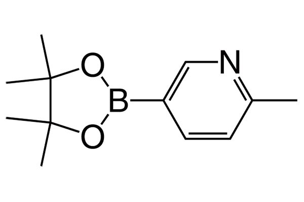 2-Methyl-5-(4,4,5,5-tetramethyl-1,3,2-dioxaborolan-2-yl)pyridine图片