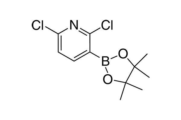 2,6-Dichloro-3-(4,4,5,5-tetramethyl-1,3,2-dioxaborolan-2-yl)pyridine图片