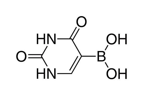 Uracil-5-boronic acid图片
