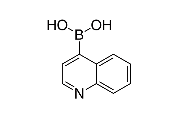 Quinoline-4-boronic acid图片