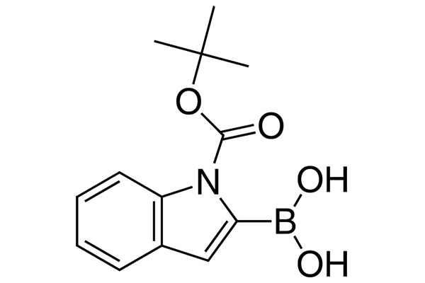 N-BOC-Indole-2-boronic acid图片
