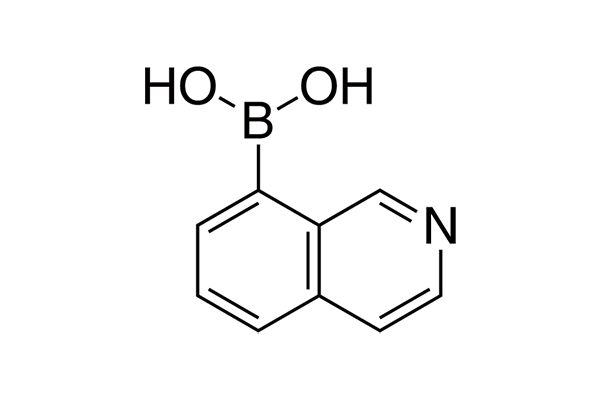 Isoquinoline-8-boronic acid图片