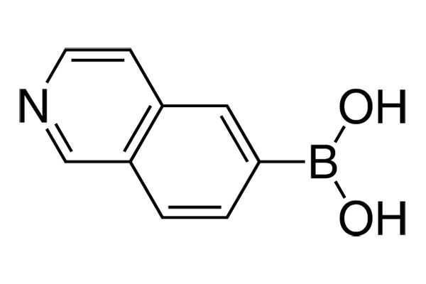 Isoquinoline-6-boronic acid图片