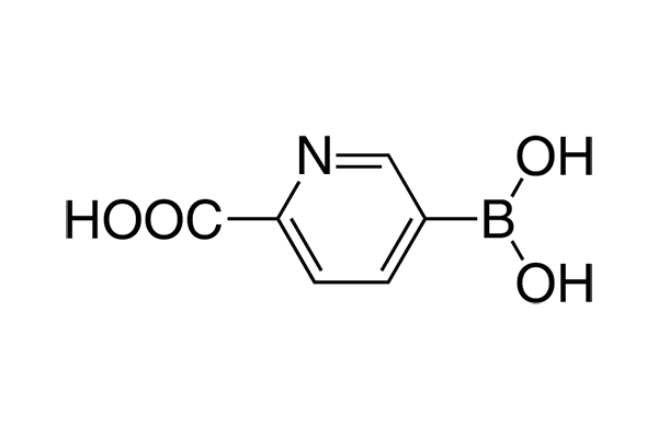 6-Carboxypyridine-3-boronic acid图片