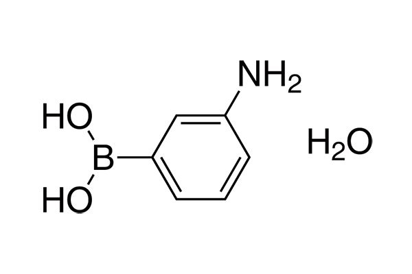 3-Aminophenylboronic acid monohydrate图片