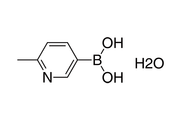 2-Methylpyridine-5-boronic acid hydrate图片
