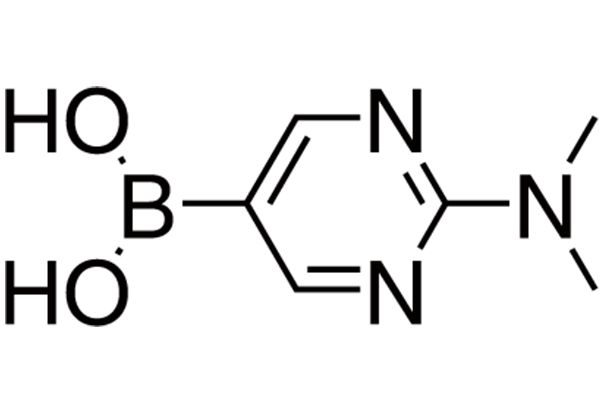 2-Dimethylaminopyrimidinyl-5-boronic acid图片