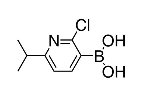 2-Chloro-6-isopropylpyridine-3-boronic acid图片