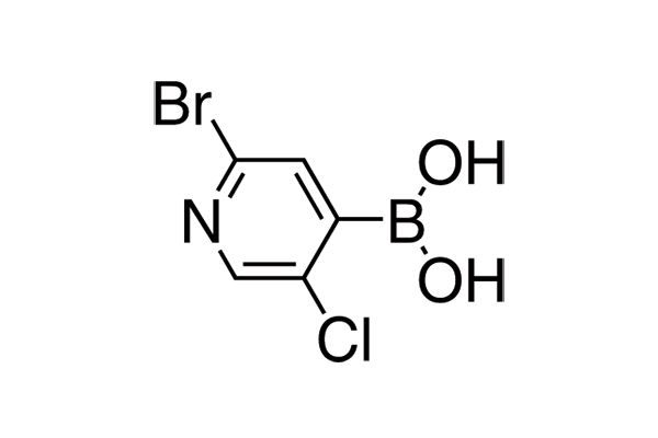 2-Bromo-5-chloropyridine-4-boronic acid图片
