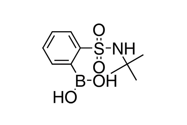 2-(tert-Butylamino)sulfonylphenylboronic acid图片