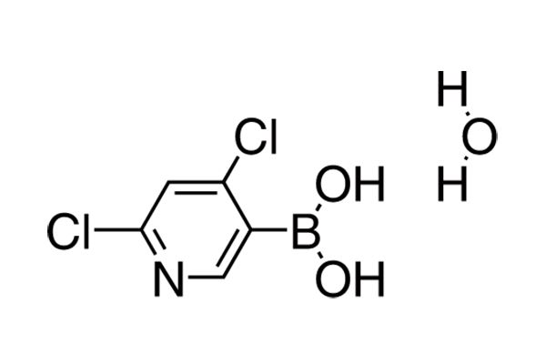 2,4-Dichloropyridine-5-boronic acid hydrate图片