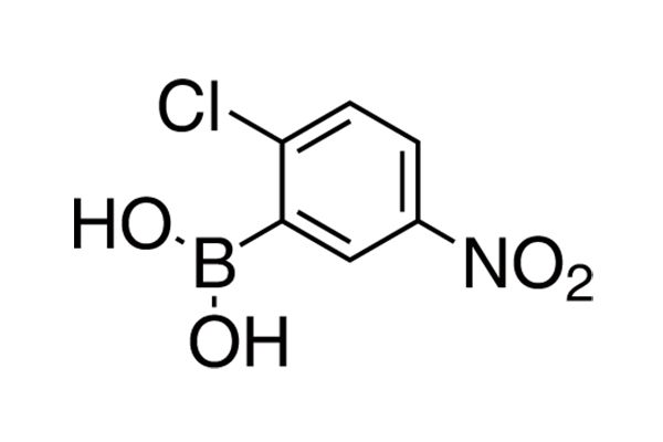 2-Chloro-5-nitrophenylboronic acid图片