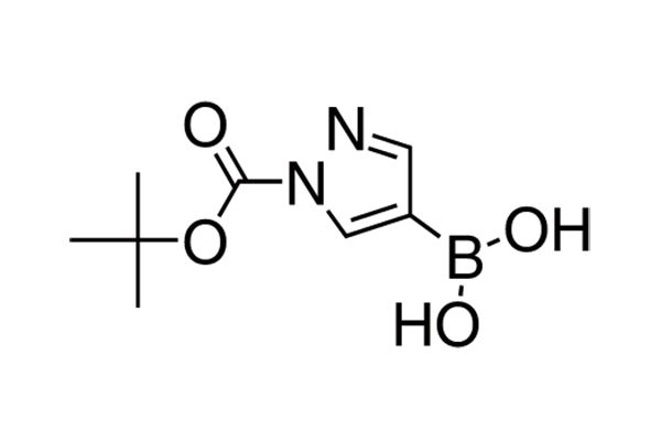 1-tert-Butoxycarbonyl-1H-pyrazole-4-boronic acid图片