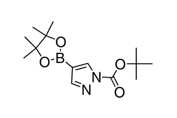 1-BOC-4-(4,4,5,5-Tetramethyl-1,3,2-dioxaborolan-2-yl)pyrazole图片