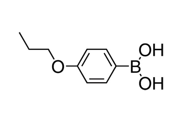 p-Propoxyphenylboronic acid图片