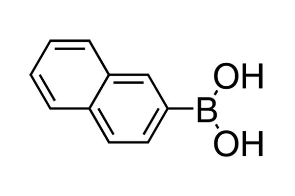 2-Naphthaleneboronic acid图片