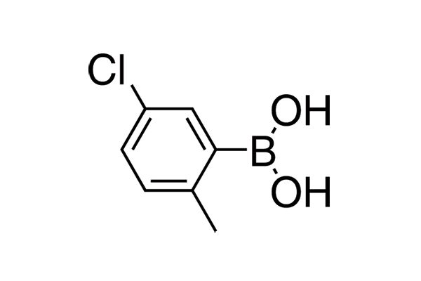 (5-Chloro-2-methylphenyl)boronic acid图片