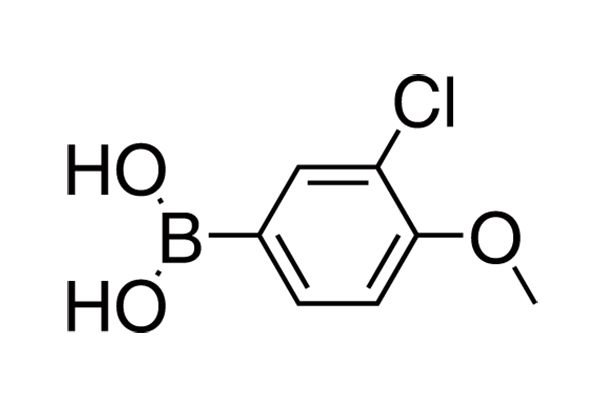 3-Chloro-4-methoxyphenylboronic acid图片