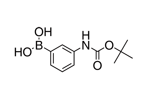 3-(BOC-Amino)phenylboronic acid图片