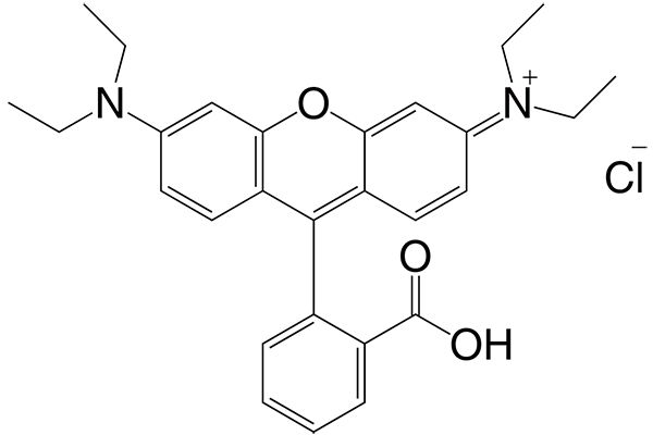 Rhodamine B图片