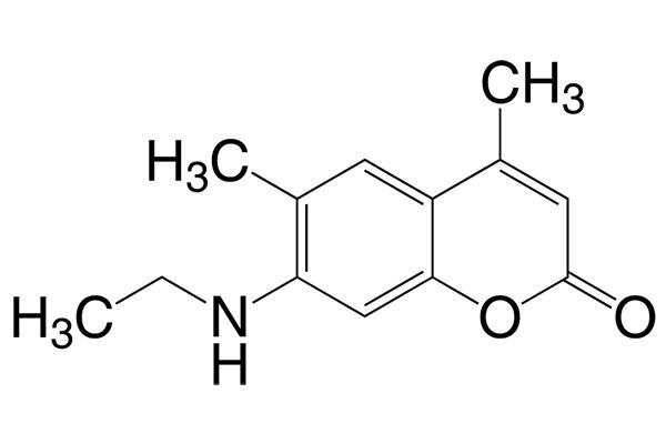 7-(Ethylamino)-4,6-dimethylcoumarin图片