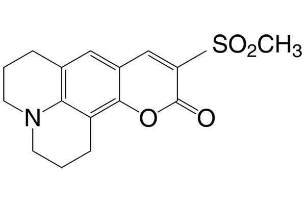 2,3,6,7-Tetrahydro-10-(methylsulfonyl)-1H,5H,11H-[1]benzopyrano[6,7,8-ij]quinolizin-11-one图片