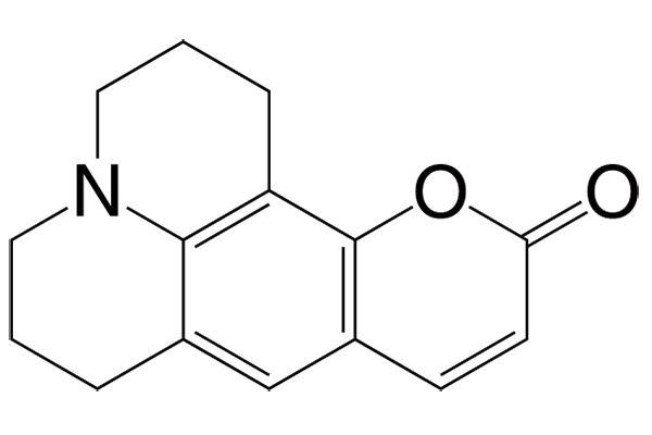 2,3,6,7-Tetrahydro-1H-pyrano[2,3-f]pyrido[3,2,1-ij]quinolin-11(5H)-one图片