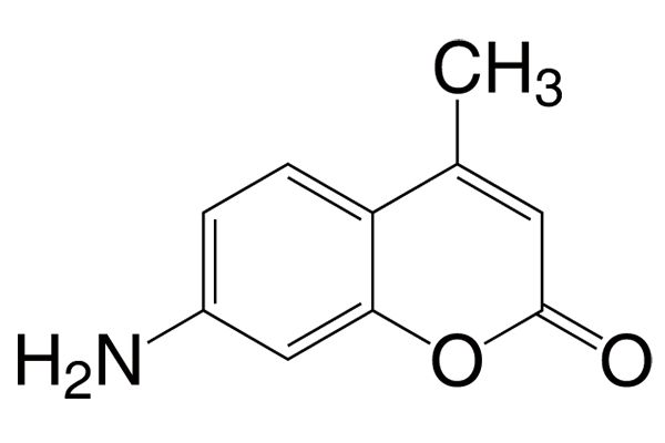 7-Amino-4-methylcoumarin图片