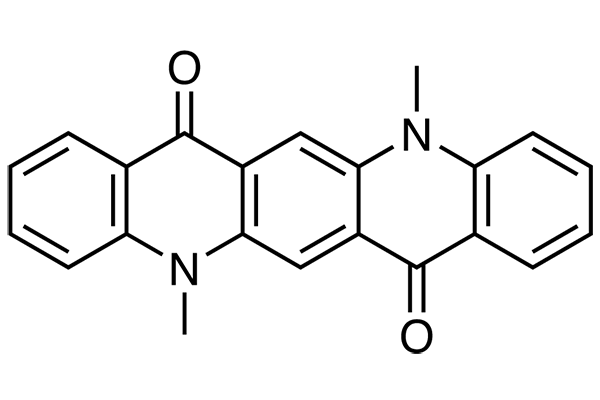 DMQA图片