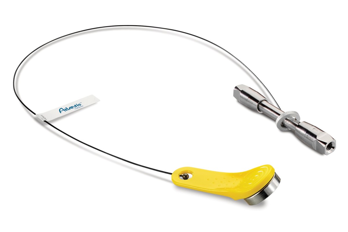 Atlantis Premier BEH C18 AX Column, 2.5 µm, 2.1 x 150 mm, 1/pk图片