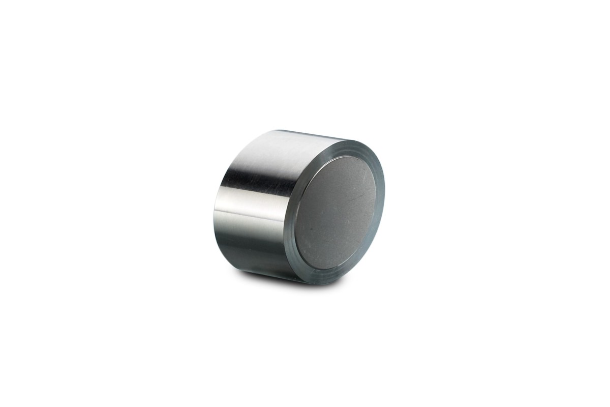 Atlantis Silica HILIC Prep Guard Cartridge, 100Å, 5 µm, 19 mm X 10 mm, 1/pk图片