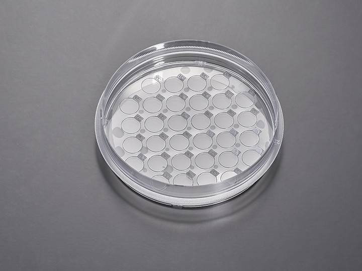 细胞爬片培养皿, 10cm,爬片直径8mm,数量45片, CXD310008图片