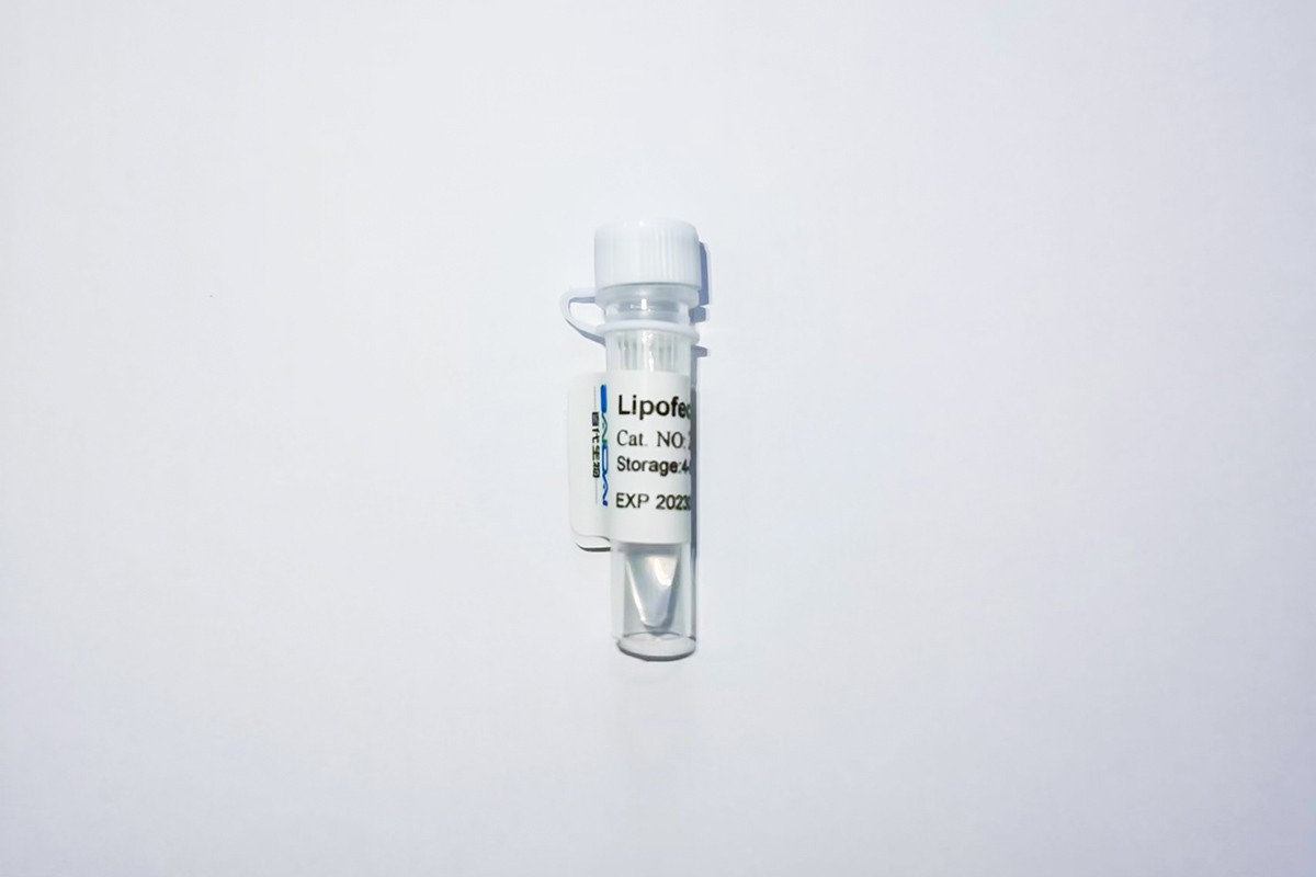 Lipofect5000质粒转染试剂图片