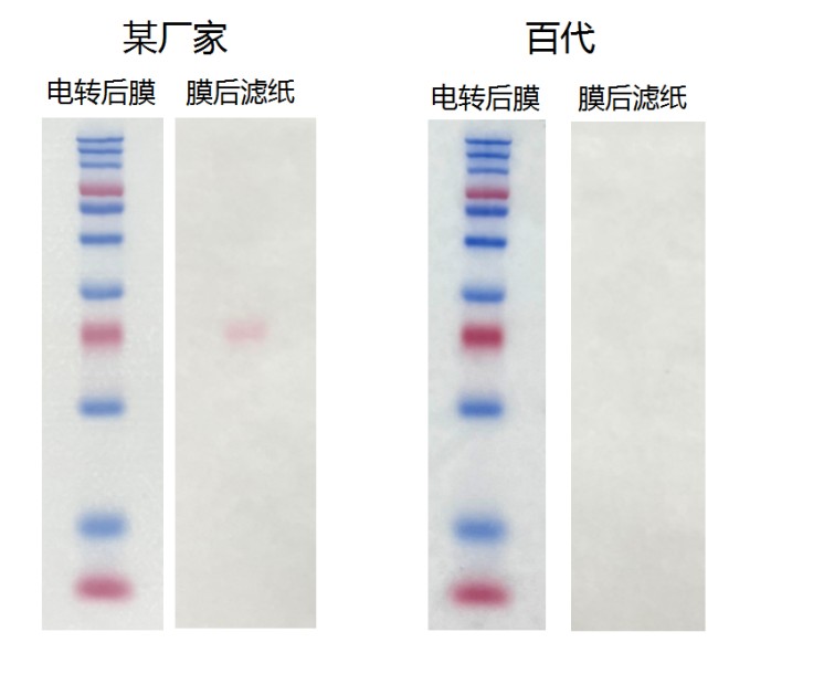 IOG PVDF膜图片