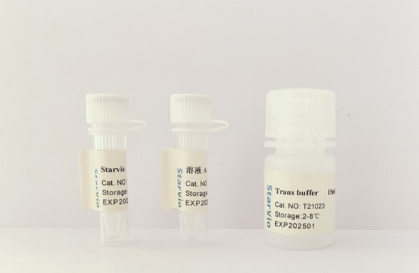 Starvio DNA & siRNA转染试剂盒图片