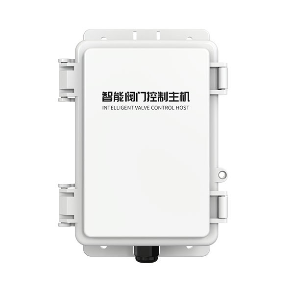RS-IVCH-EVA1-x-DC-1智能阀门控制主机图片
