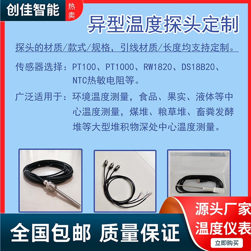 RW1820异型温度探头图片