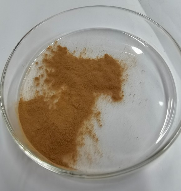 竹叶黄酮24%图片