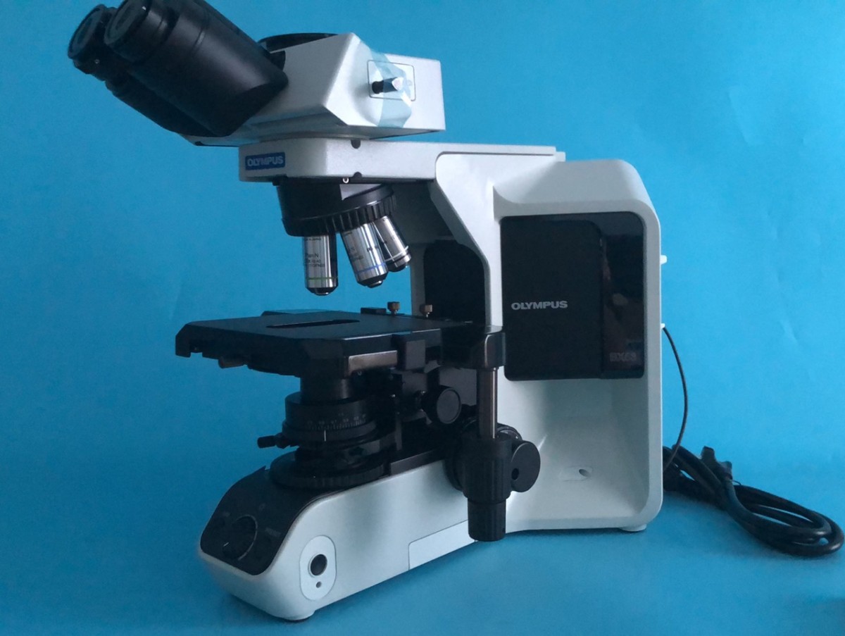 OLYMPUS正置生物显微镜BX53图片