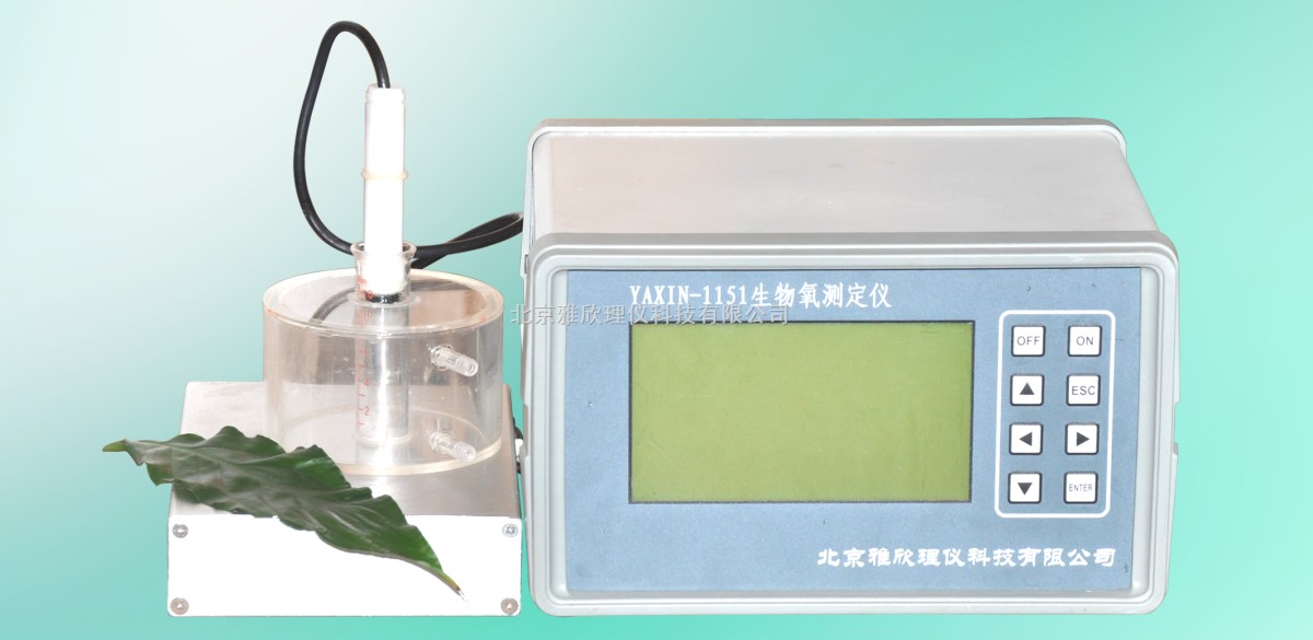 Yaxin-1151生物氧测定仪图片